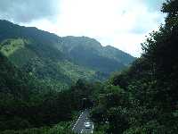 緑がまぶしい那智山の景色。