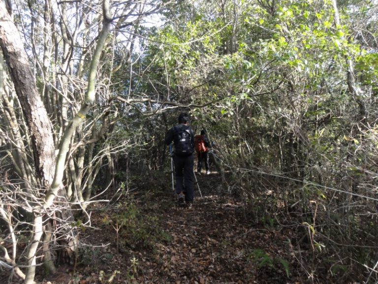 ここ から 高 尾山 まで 自転車