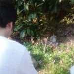 久々に日根野山中